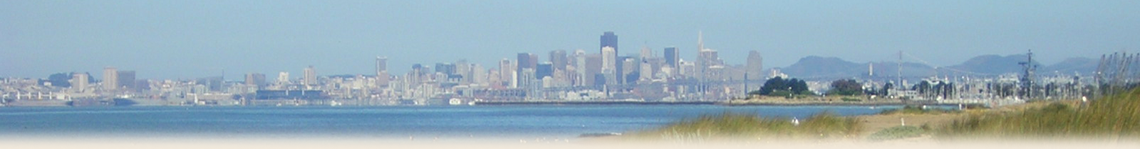 Artistic scene of San Francisco from the dunes apartments